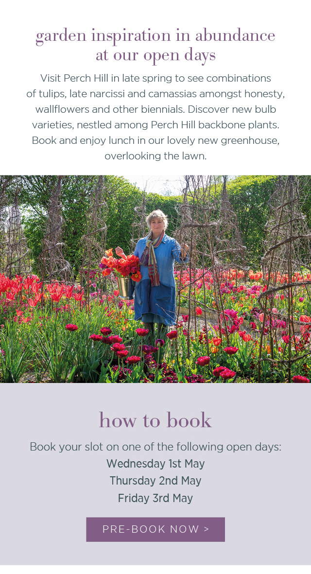 Garden inspiration in abundance at our open days. Visit Perch Hill in late spring to see combinations of tulips, late narcissi and camassias amongst honesty, wallflowers and other biennials. Discover new bulb varieties, nestled among Perch Hill backbone plants. Book and enjoy lunch in our lovely new greenhouse overlooking the lawn. How to book: book your slot on one of the following open days: Wednesday 1st May, Thursday 2nd May, Friday 3rd May. Pre-book now >