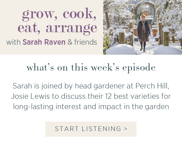 Grow, cook, eat, arrange with Sarah Raven & friends. What's on this week's episode. Sarah is joined by head gardener at Perch Hill, Josie Lewis to discuss their 12 best varieties for long-lasting interest and impact in the garden. Start Listening >
