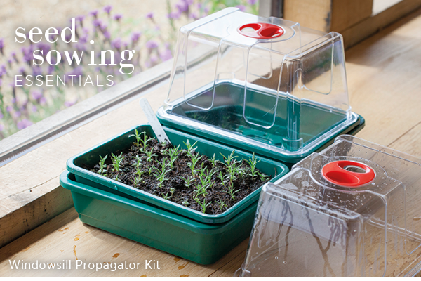Seed sowing essentials. Windowsill Propagator Kit. 