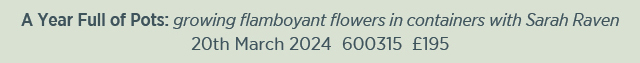 A Year Full of Pots: growing flamboyant flowers in containers with Sarah Raven. 20th March 2024. 600315. £195. 