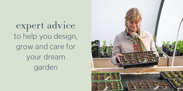 Expert advice to help you design, grow and care for your dream garden.