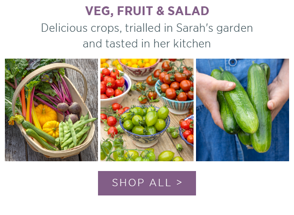 Veg, fruit and Salad! Delicious crops, trialled in Sarah's garden and tasted in her kitchen.