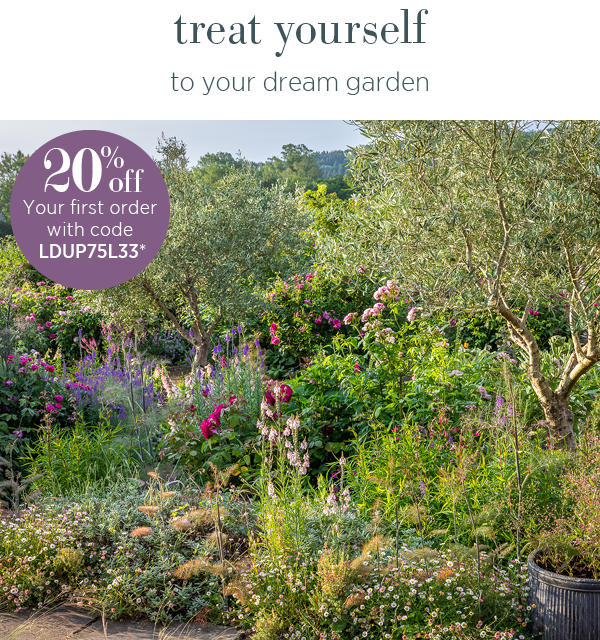Treat yourself to your dream garden. 20% off your first order. Quote code LDUP75L33. 