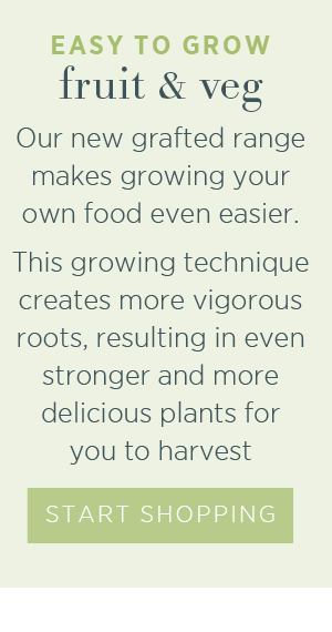 Easy to grow fruit & veg. Our new grafted range makes growing your own food even easier. This growing technique creates more vigorous roots, resulting in even stronger and more delicious plants for you to harvest. Start shopping >