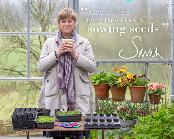 "One of life's many pleasures is sowing seeds" Sarah. 