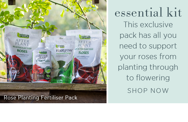 Rose Planting Fertiliser Pack. Essential Kit. This exclusive pack has all you need to support your roses from planting through to flowering. Shop Now >
