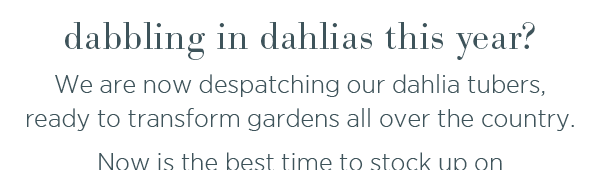 Dabbling in dahlias this year? We are now despatching our dahlia tubers, ready to transform gardens all over the country. 