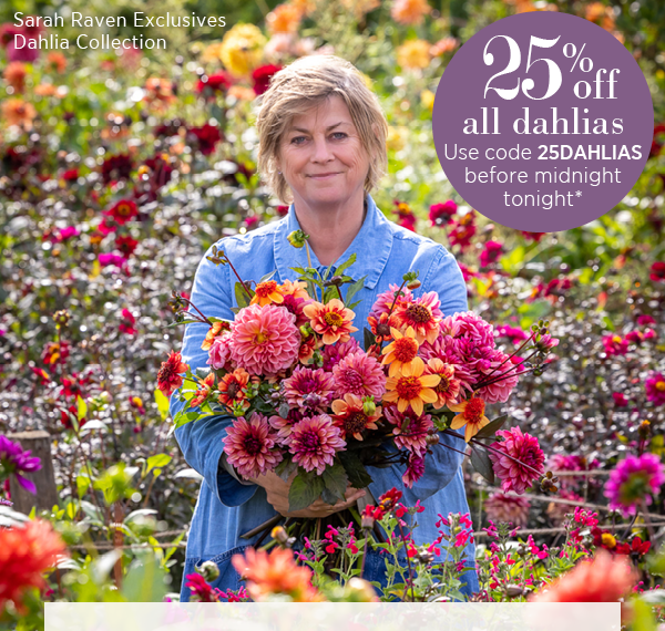 Sarah Raven Exclusives Dahlia Collection. 25% off all dahlias. Use code 25DAHLIAS before midnight tonight*. 