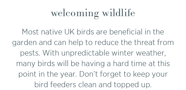 Welcoming wildlife. Most native UK birds are beneficial in the garden and can help to reduce the threat from pests. With unpredictable winter weather, many birds will be having a hard time at this point in the year. Don't forget to keep your bird feeders clean and topped up. 