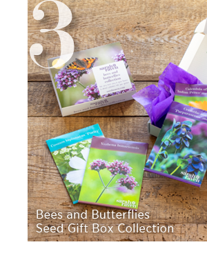 3. Bees and Butterflies Seed Gift Box Collection 