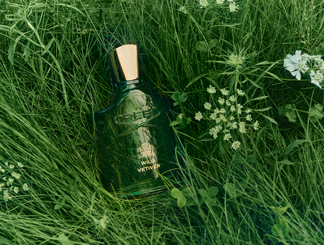 Wild Vetiver