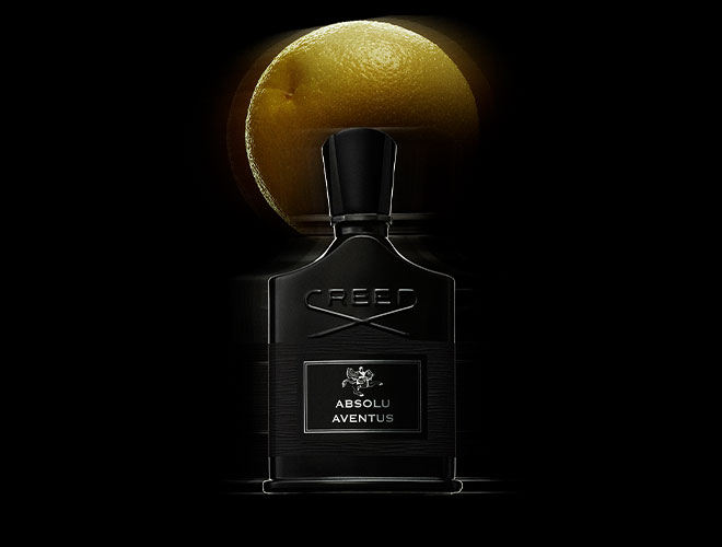 Absolu Aventus