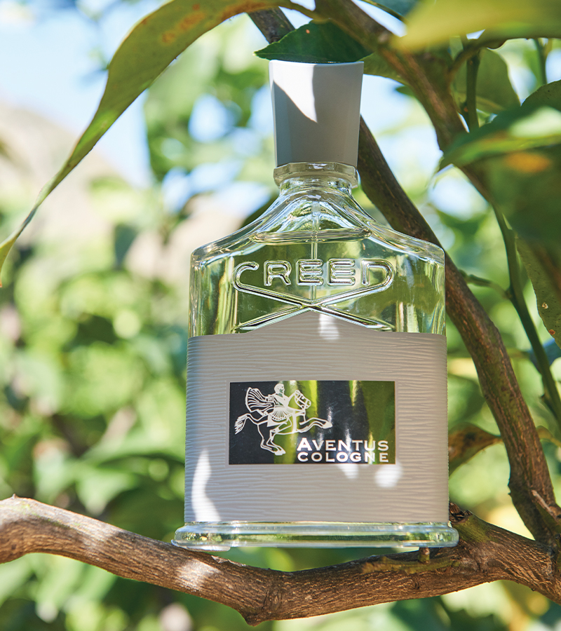 Aventus Cologne