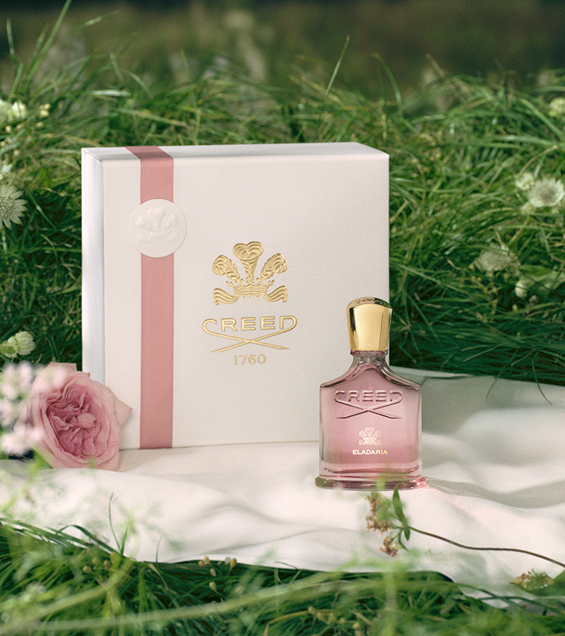 Wild Vetiver