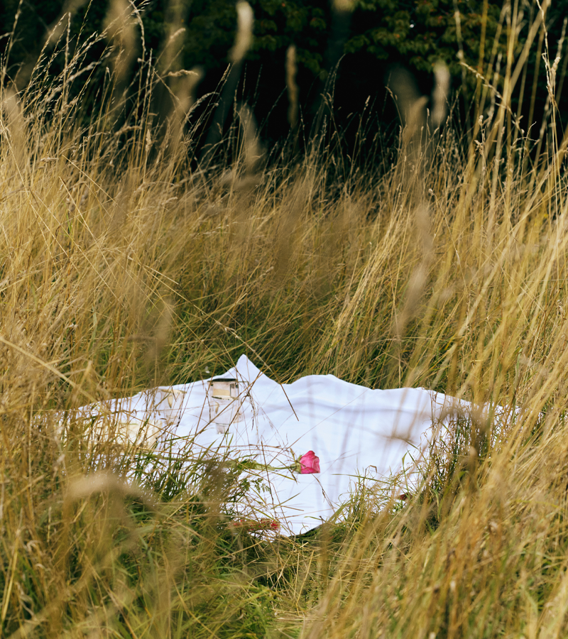 Wild Vetiver