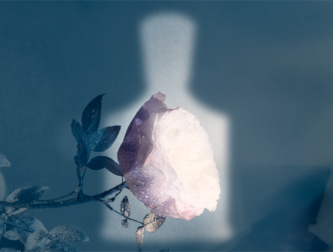 Eladaria Teaser