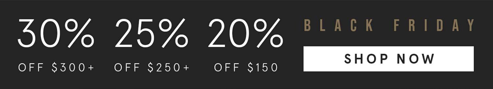Black Friday Sale