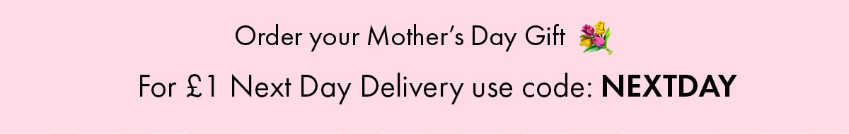 £1 NEXT DAY DELIVERY