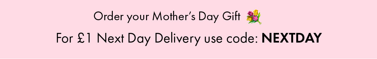 £1 NEXT DAY DELIVERY