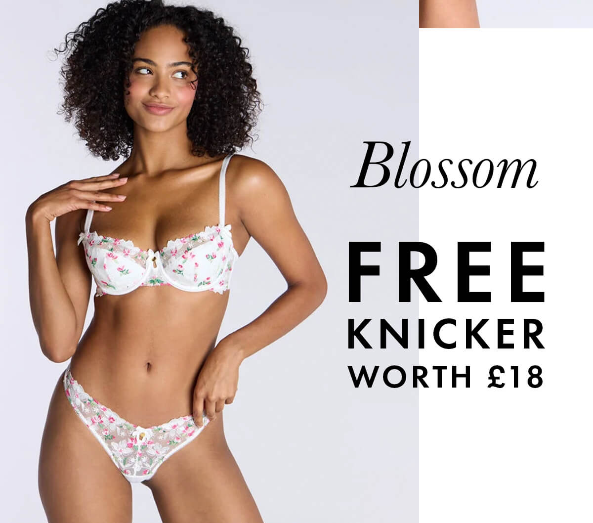 Blossom
