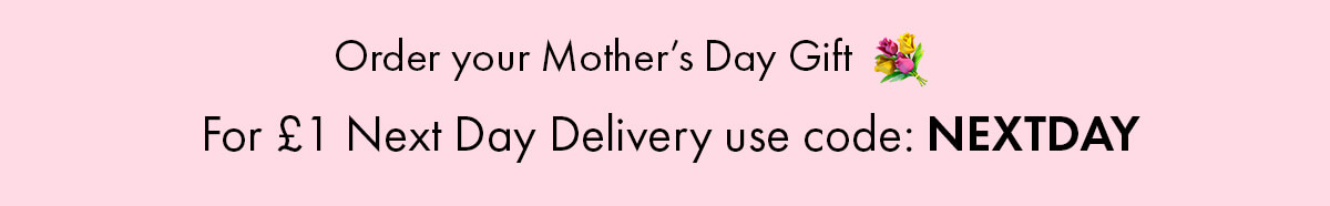 £1 NEXT DAY DELIVERY