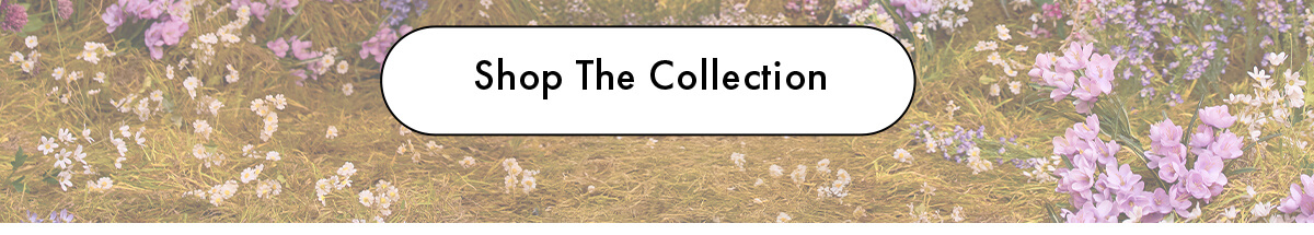 Shop The Collection