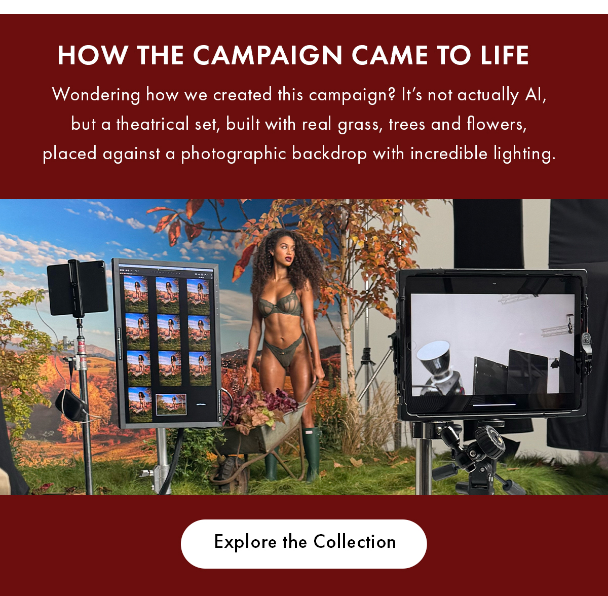 HOW THE CAMPAIGN CAME TO LIFE 