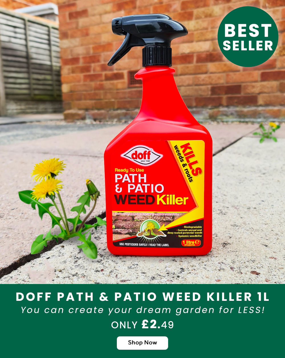 It's time to say GOODBYE! 👋🪴