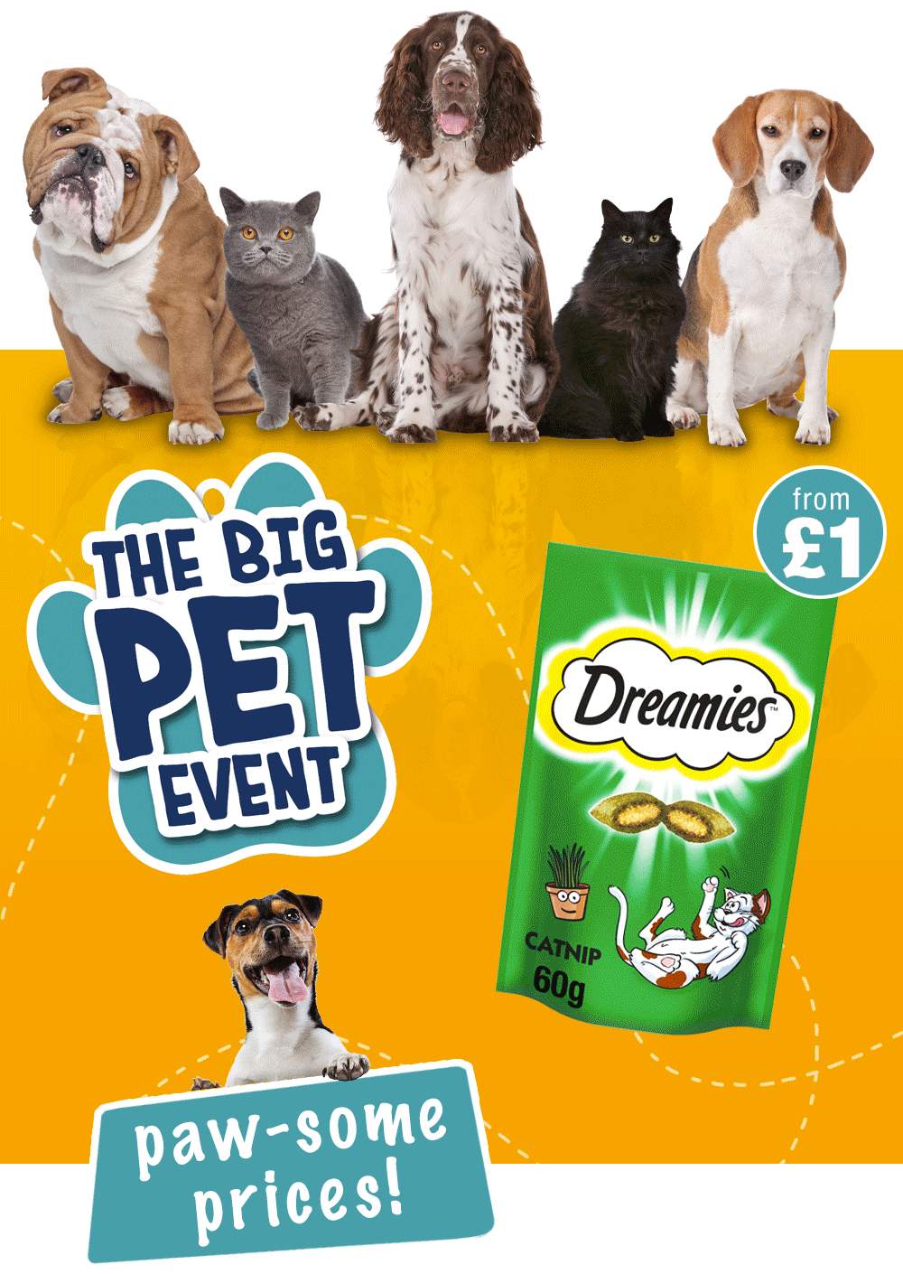 The BIG Pet event! 🐶🐱