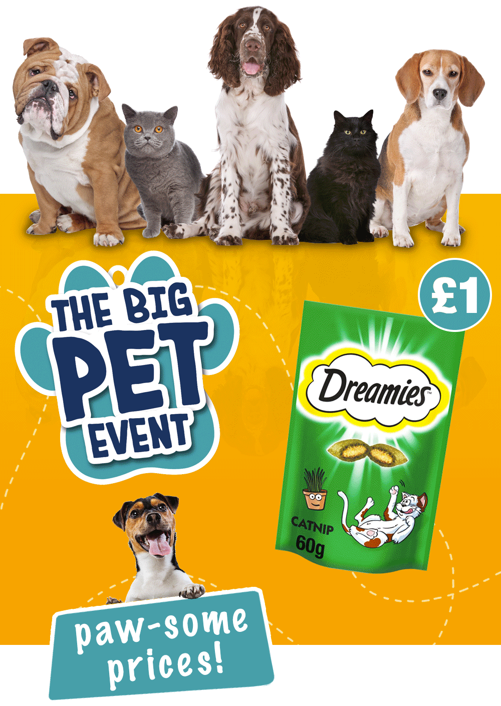 The BIG Pet event! 🐶🐱