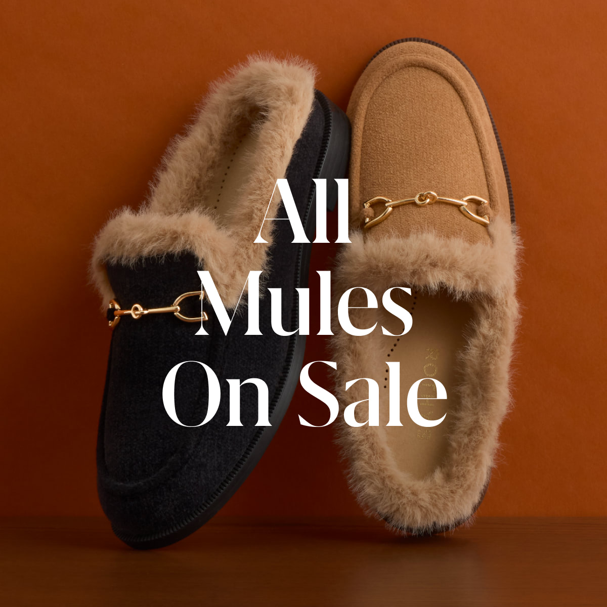 ALL MULES ON SALE