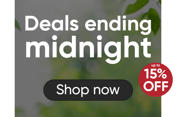 Deals ending midnight