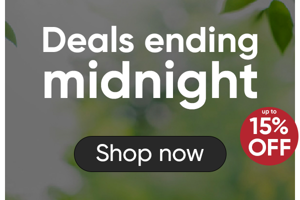 Deals ending midnight