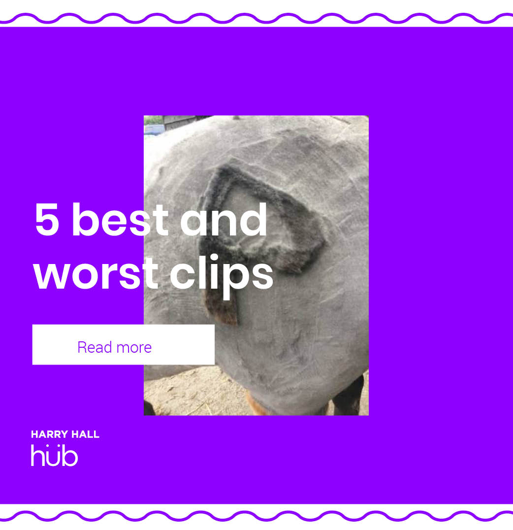 Are you Winter ready Harry Hall? 🌧️ ️🌨️🍂 Harry Hall