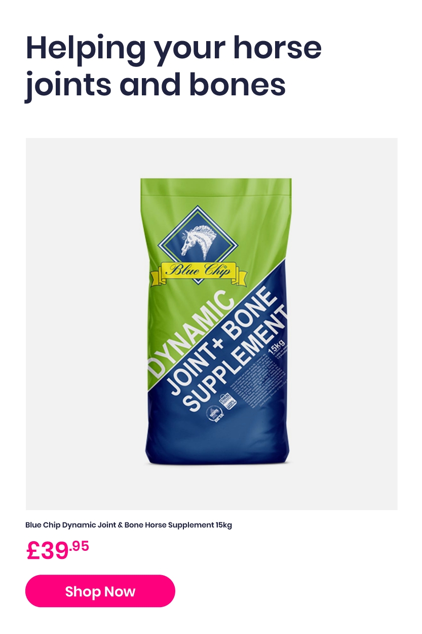 Happy, Healthy Horse musthaves….🐴 Harry Hall