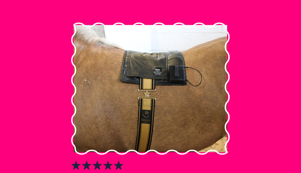 2024 feel good faves for your horse 🐴 Harry Hall