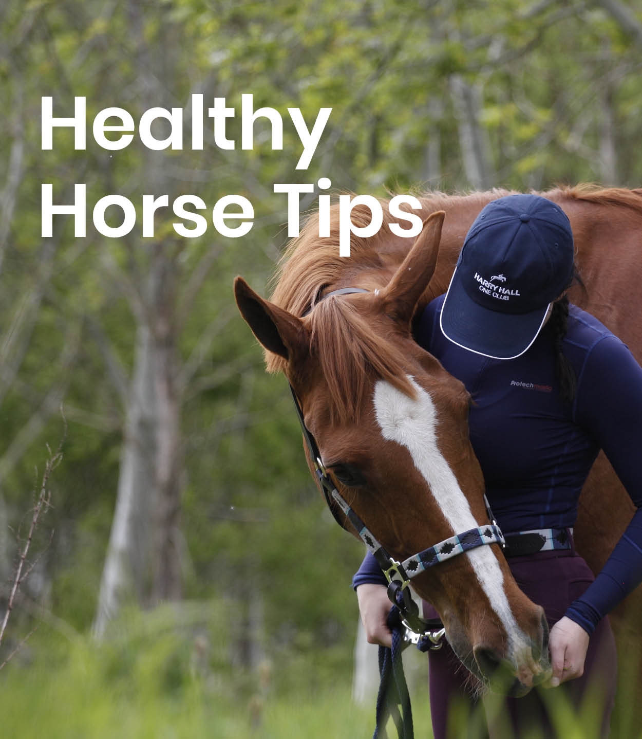 Top Tips to keep your Horse Healthy 🐴 Harry Hall