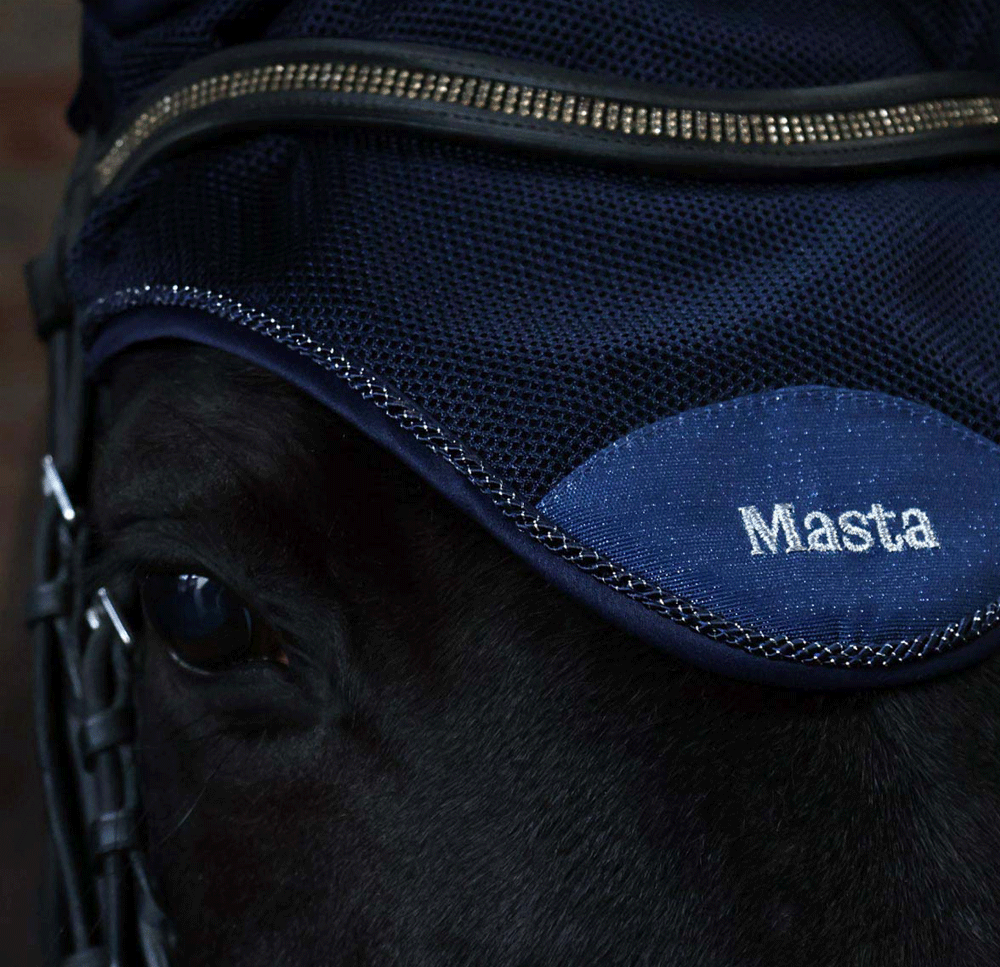 New for You Harry Hall 🆕 Harry Hall