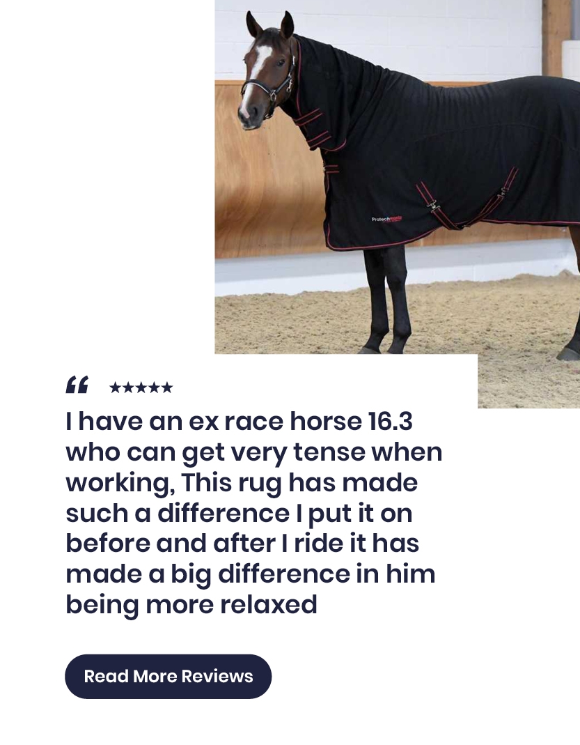 Happy, Healthy Horse musthaves….🐴 Harry Hall