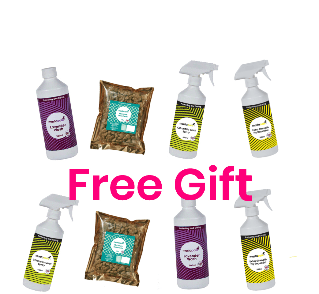 Your Free Gift 🎁🛍️ Ends Midnight ⏰ Harry Hall