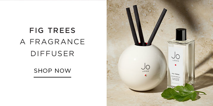 Fig Trees A Fragrance Diffuser