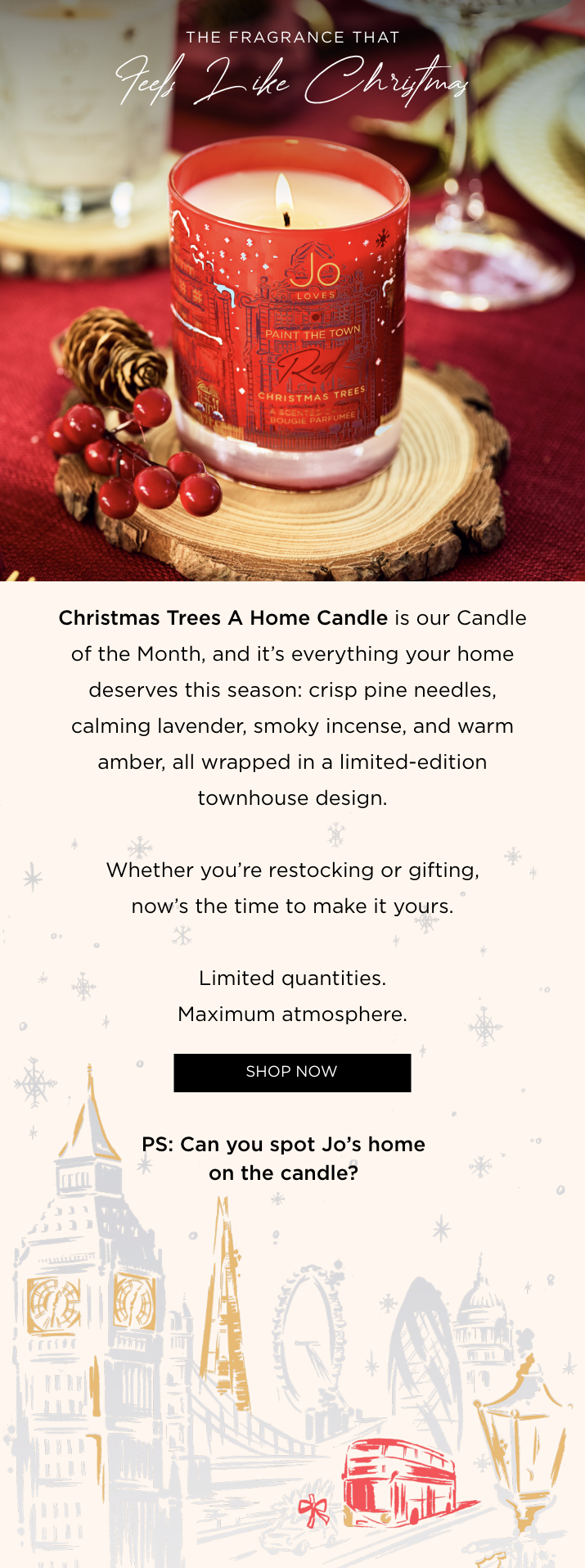 Christmas Trees A Home Candle is our Candle of the Month, and it's everything your home deserves this season: crisp pine needles, calming lavender, smoky incense, and warm amber, all wrapped in a limited-edition townhouse design. Whether you're restocking or gifting, now's the time to make it yours. Limited quantities. Maximum atmosphere.
