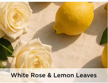 White Rose & Lemon Leaves