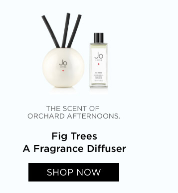 Fig Trees A Fragrance Diffuser