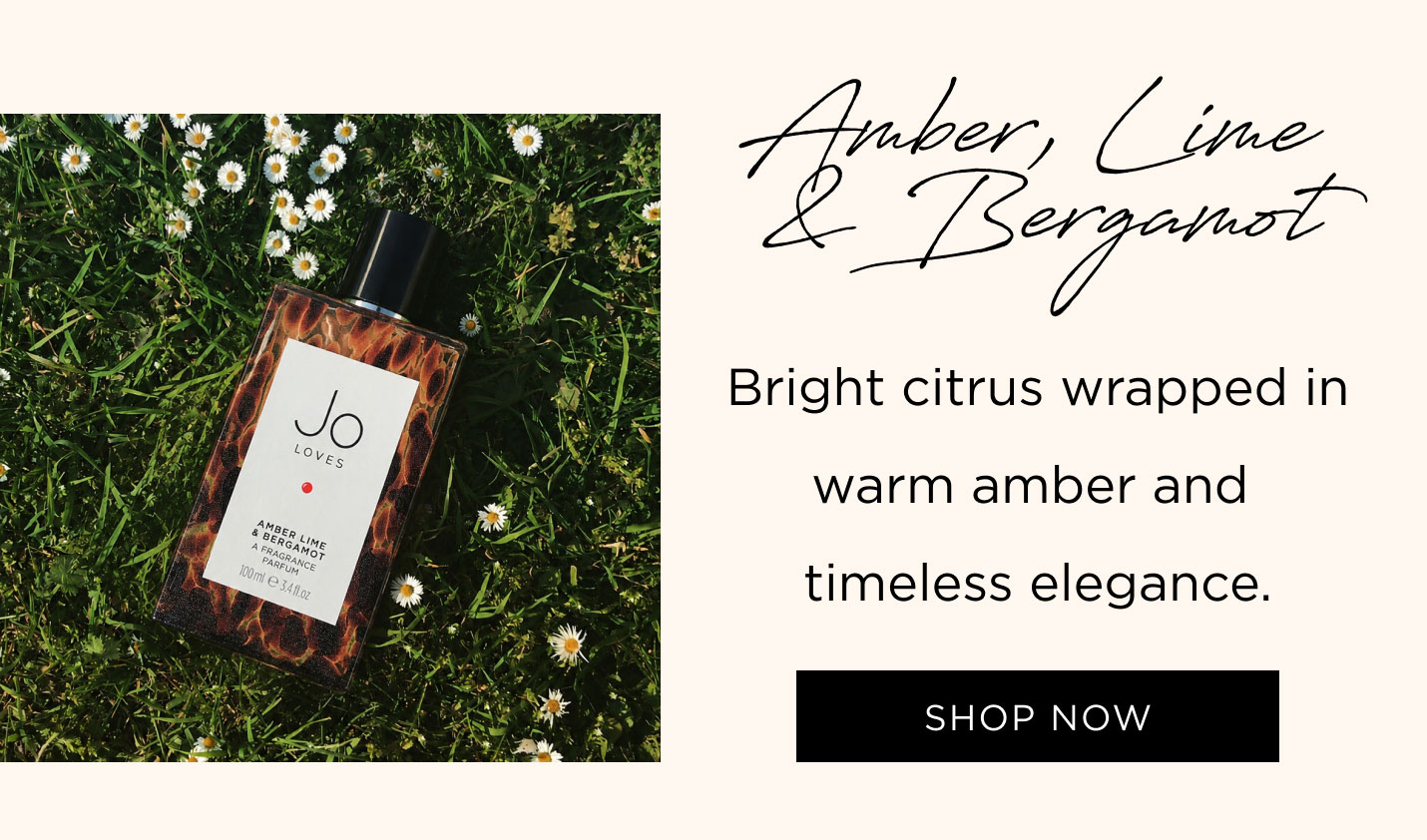 Amber Lime & Bergamot