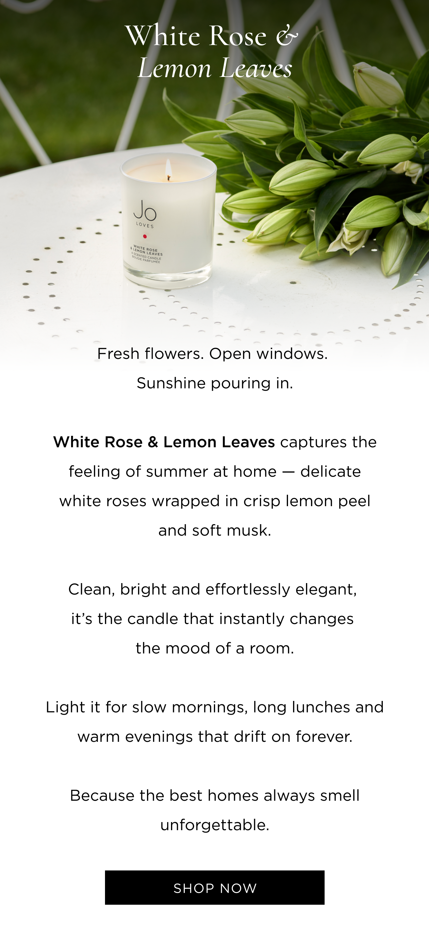 Fresh flowers. Open windows. Sunshine pouring in. White Rose & Lemon Leaves captures the feeling of summer at home - delicate white roses wrapped in crisp lemon peel and soft musk. Clean, bright and effortlessly elegant, it's the candle that instantly changes the mood of a room. Light it for slow mornings, long lunches and warm evenings that drift on forever. Because the best homes always smell unforgettable.