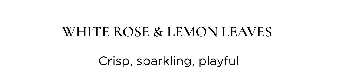 White Rose & Lemon Leaves  crisp, sparkling, playful