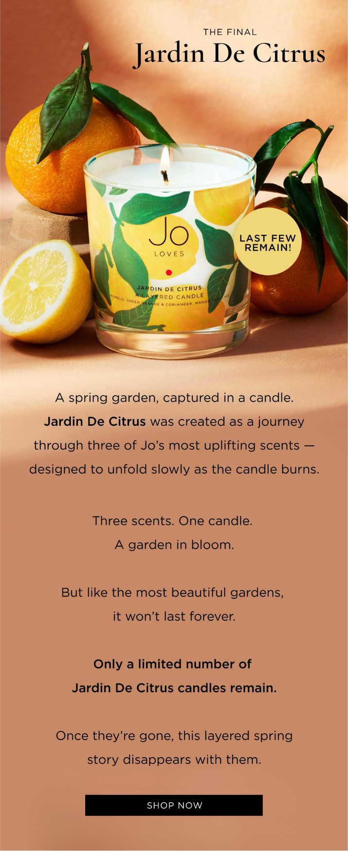 A spring garden, captured in a candle. Jardin De Citrus was created as a journey through three of Jo's most uplifting scents - designed to unfold slowly as the candle burns. Three scents. One candle. A garden in bloom. But like the most beautiful gardens, it won't last forever. Only a limited number of Jardin De Citrus candles remain. Once they're gone, this layered spring story disappears with them.
