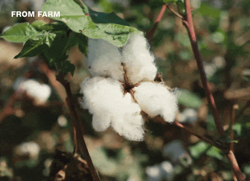 From Farm To Factory | Finisterre