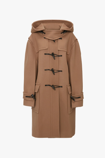 Brown coat 